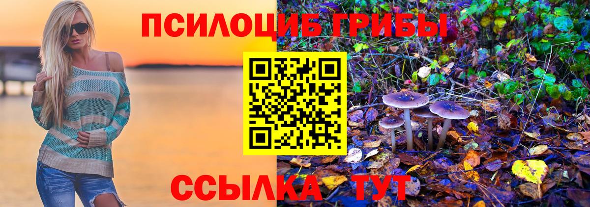 Луга  Галлюциногенные грибы Magic Shrooms  Вход с VPN 